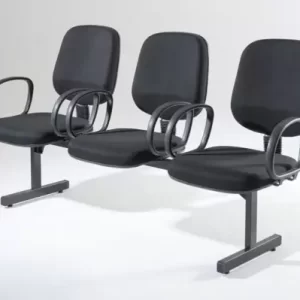 LONGARINA DIRETOR ECONÔMICA